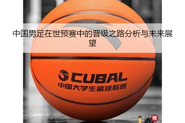 中国男足在世预赛中的晋级之路分析与未来展望